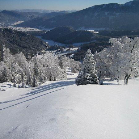 Landhaus Gschaiderhof Puchberg am Schneeberg Dış mekan fotoğraf
